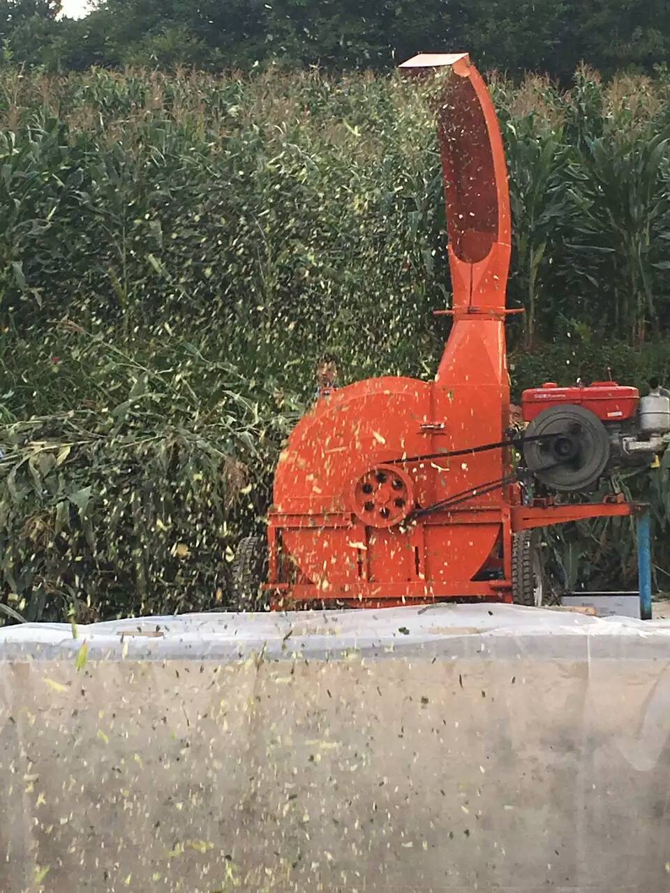 內蒙古大型10噸鍘草機揉絲機視頻多少錢一臺？